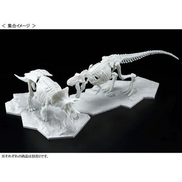 Bandai Dinosaur Model Kit Limex Skeleton Triceratops 4573102616609 (Plastic Model) Bandai Dinosaur Model Kit Limex Skeleton Triceratops 4573102616609 (Plastic Model)