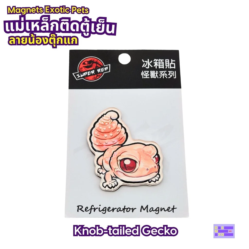 Magnets Exotic Pet แม่เหล็กติดตู้เย็น ลายน้องตุ๊กแก แม่เหล็กติดตู้เย็นอะคริลิก ของฝาก Magnets Exotic Pet แม่เหล็กติดตู้เย็น ลายน้องตุ๊กแก แม่เหล็กติดตู้เย็นอะคริลิก ของฝาก