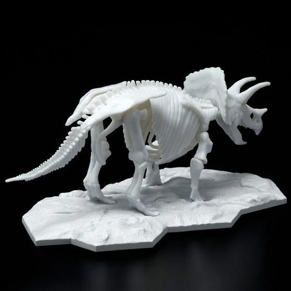 Bandai Dinosaur Model Kit Limex Skeleton Triceratops 4573102616609 (Plastic Model) Bandai Dinosaur Model Kit Limex Skeleton Triceratops 4573102616609 (Plastic Model)