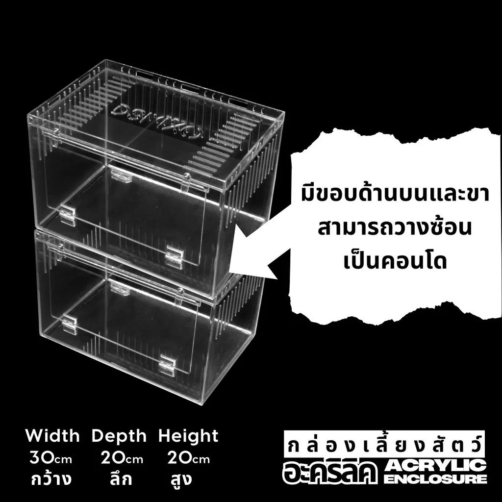 DSMXO Acrylic Box 30×20×20cm (Front) กล่องอะคริลิคใส *เปิดหน้า* ใส่งู ตุ๊กแก รูระบายเล็ก 3mm มีขาวางซ้อน DSMXO Acrylic Box 30×20×20cm (Front) กล่องอะคริลิคใส *เปิดหน้า* ใส่งู ตุ๊กแก รูระบายเล็ก 3mm มีขาวางซ้อน