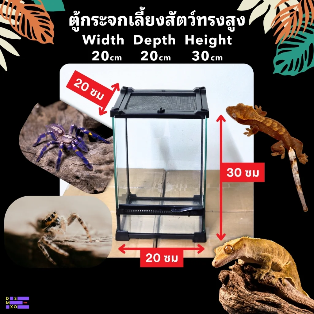 NOMOY PET Terrarium 20×20×30cm ตู้กระจกเลี้ยงสัตว์ทรงสูง เปิดได้ 2 ด้าน ด้านบนวางโคมไฟได้ NOMOY PET Terrarium 20×20×30cm ตู้กระจกเลี้ยงสัตว์ทรงสูง เปิดได้ 2 ด้าน ด้านบนวางโคมไฟได้