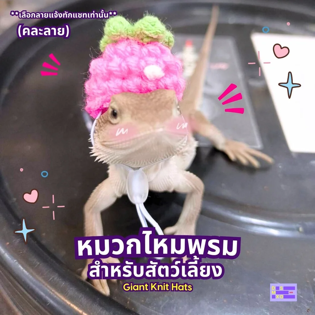 Giant Knit Hat หมวกไหมพรม สำหรับสัตว์เลี้ยง ขนาดใหญ่ คละลาย (เลือกลายแจ้งทักแชทเท่านั้น) Giant Knit Hat หมวกไหมพรม สำหรับสัตว์เลี้ยง ขนาดใหญ่ คละลาย (เลือกลายแจ้งทักแชทเท่านั้น)
