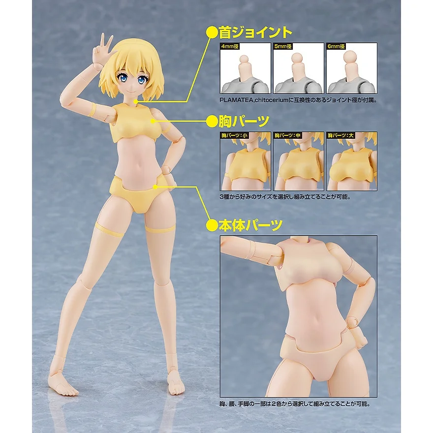 Good Smile Company PLAMATEA Muse Body Ichika B Type 4571697189201 (Plastic Model) Good Smile Company PLAMATEA Muse Body Ichika B Type 4571697189201 (Plastic Model)
