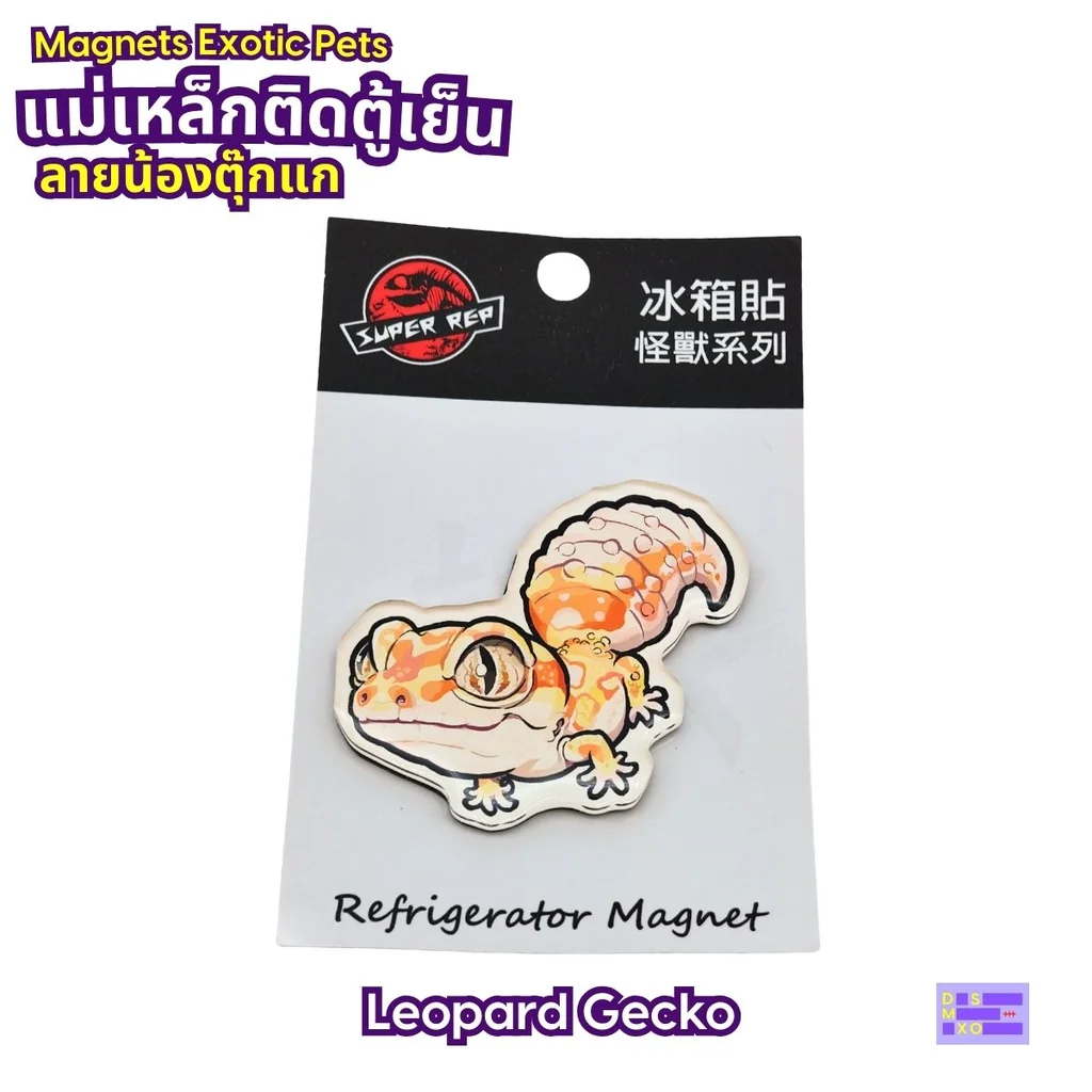 Magnets Exotic Pet แม่เหล็กติดตู้เย็น ลายน้องตุ๊กแก แม่เหล็กติดตู้เย็นอะคริลิก ของฝาก Magnets Exotic Pet แม่เหล็กติดตู้เย็น ลายน้องตุ๊กแก แม่เหล็กติดตู้เย็นอะคริลิก ของฝาก