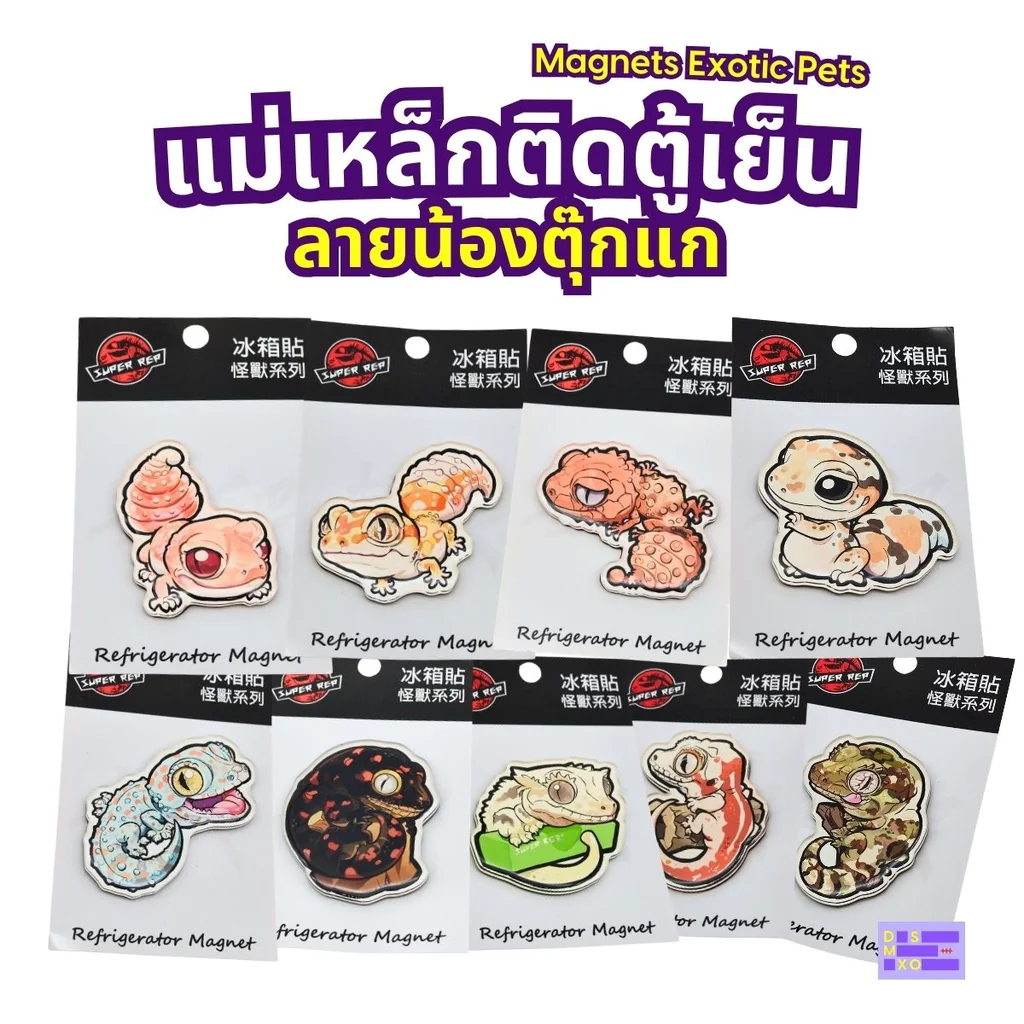 Magnets Exotic Pet แม่เหล็กติดตู้เย็น ลายน้องตุ๊กแก แม่เหล็กติดตู้เย็นอะคริลิก ของฝาก Magnets Exotic Pet แม่เหล็กติดตู้เย็น ลายน้องตุ๊กแก แม่เหล็กติดตู้เย็นอะคริลิก ของฝาก