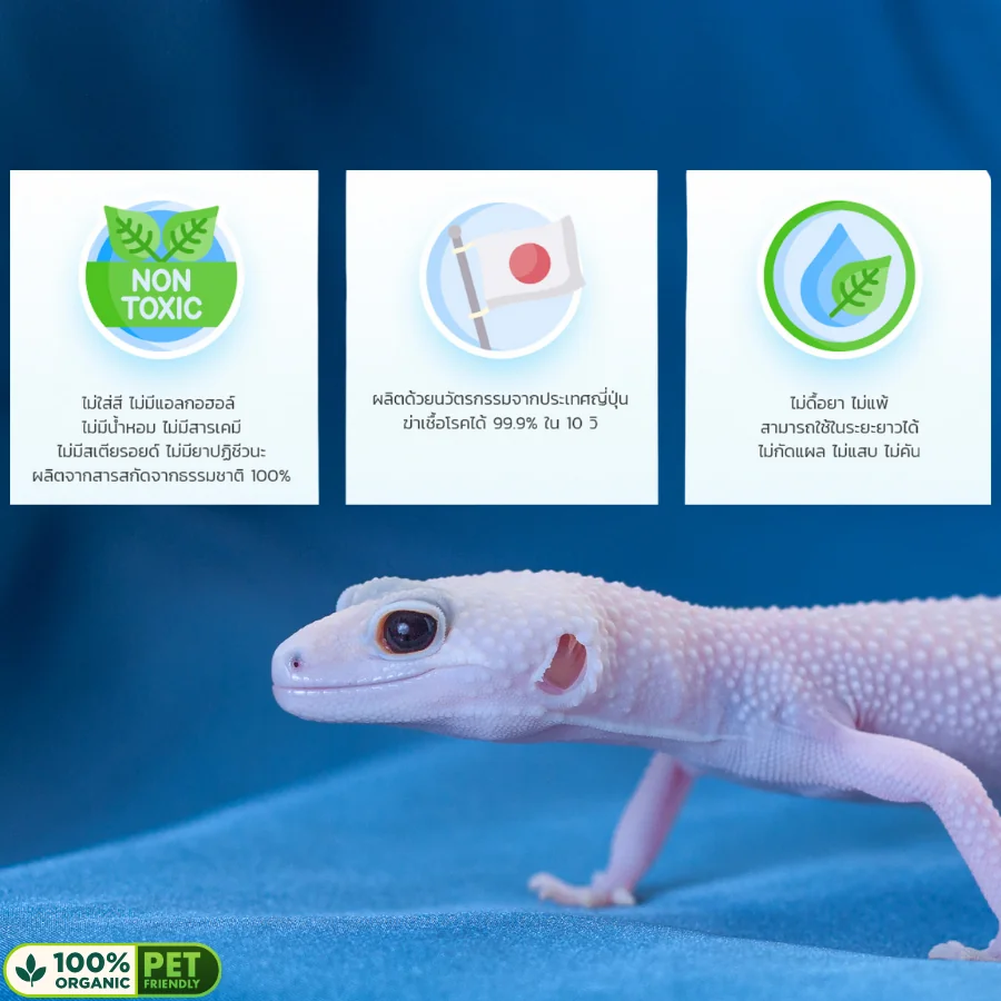 Bactle 250ml สูตร Reptile น้ำยาทำความสะอาดฆ่าเชื้อกล่อง สถานที่เลี้ยง อุปกรณ์ ขจัดคราบยูริค Bactle 250ml สูตร Reptile น้ำยาทำความสะอาดฆ่าเชื้อกล่อง สถานที่เลี้ยง อุปกรณ์ ขจัดคราบยูริค