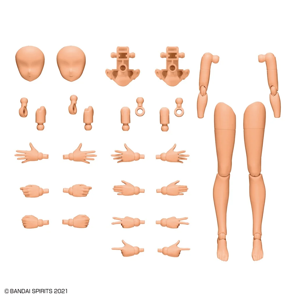 Bandai 30MS Option Body Parts Arm Parts & Leg Parts (Color C) 4573102639431 (Plastic Model)