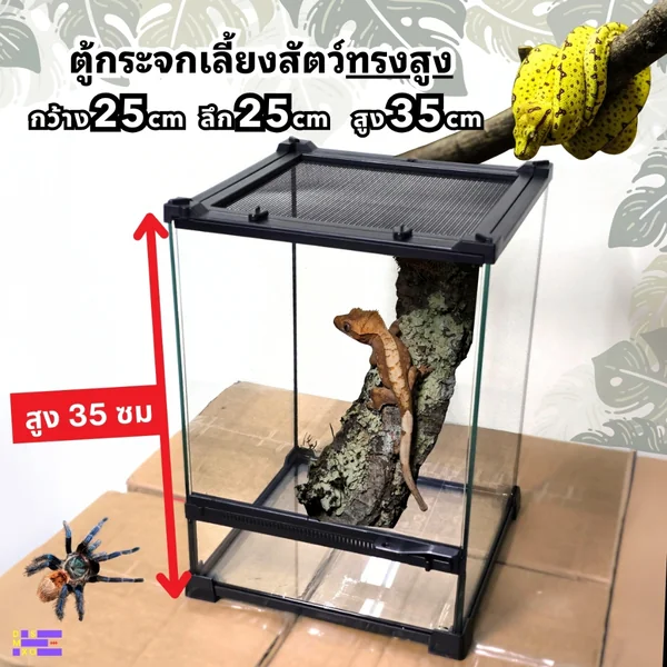 NOMOY PET Terrarium 25×25×35cm ตู้กระจกเลี้ยงสัตว์ มีที่ล๊อก วางโคมไฟได้ image 1 NOMOY PET Terrarium 25×25×35cm ตู้กระจกเลี้ยงสัตว์ มีที่ล๊อก วางโคมไฟได้ image 1