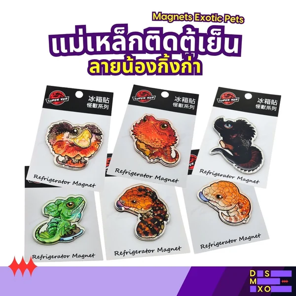 Magnets Exotic Pet แม่เหล็กติดตู้เย็น ลายน้องกิ้งก่า แม่เหล็กติดตู้เย็นอะคริลิก ของฝาก image 1 Magnets Exotic Pet แม่เหล็กติดตู้เย็น ลายน้องกิ้งก่า แม่เหล็กติดตู้เย็นอะคริลิก ของฝาก image 1