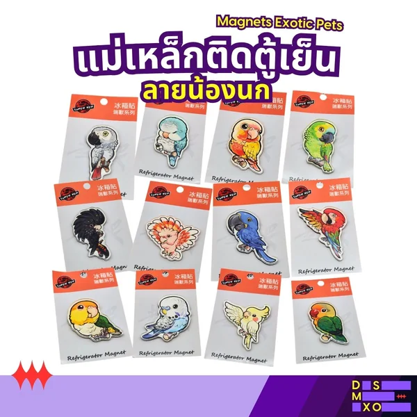 Magnets Exotic Pet แม่เหล็กติดตู้เย็น ลายน้องนก แม่เหล็กติดตู้เย็นอะคริลิก ของฝาก image 1 Magnets Exotic Pet แม่เหล็กติดตู้เย็น ลายน้องนก แม่เหล็กติดตู้เย็นอะคริลิก ของฝาก image 1