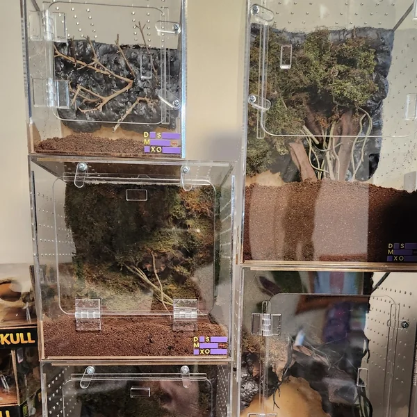 Acrylic Box กล่องอะคริลิคใส สำหรับแมงมุม แมงป่อง แมลง รูระบายเล็ก ปลอดภัย Exotic Pet Box image 1 Acrylic Box กล่องอะคริลิคใส สำหรับแมงมุม แมงป่อง แมลง รูระบายเล็ก ปลอดภัย Exotic Pet Box image 1