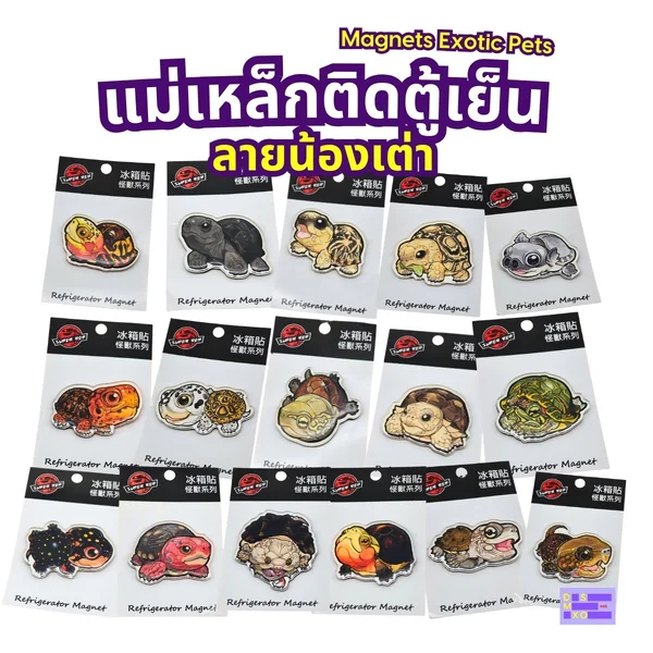 Magnets Exotic Pet แม่เหล็กติดตู้เย็น ลายน้องเต่า แม่เหล็กติดตู้เย็นอะคริลิก ของฝาก image 2 Magnets Exotic Pet แม่เหล็กติดตู้เย็น ลายน้องเต่า แม่เหล็กติดตู้เย็นอะคริลิก ของฝาก image 2