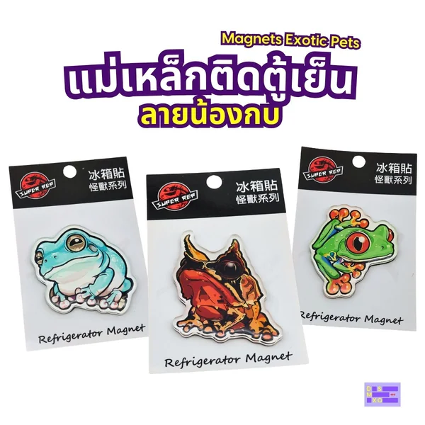 Magnets Exotic Pet แม่เหล็กติดตู้เย็น ลายน้องกบ แม่เหล็กติดตู้เย็นอะคริลิก ของฝาก image 2 Magnets Exotic Pet แม่เหล็กติดตู้เย็น ลายน้องกบ แม่เหล็กติดตู้เย็นอะคริลิก ของฝาก image 2