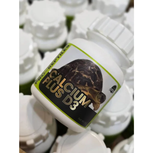 PRO-REPTILES Calcium+D3 90g แคลเซียมผงผสมวิตามิน D3 สำหรับสัตว์เลื้อยคลาน และสัตว์ครึ่งบกครึ่งน้ำโดยเฉพาะ เต่า กิ้งก่า งู Exotic Pet ทุกชนิด พร้อมส่ง image 3 PRO-REPTILES Calcium+D3 90g แคลเซียมผงผสมวิตามิน D3 สำหรับสัตว์เลื้อยคลาน และสัตว์ครึ่งบกครึ่งน้ำโดยเฉพาะ เต่า กิ้งก่า งู Exotic Pet ทุกชนิด พร้อมส่ง image 3
