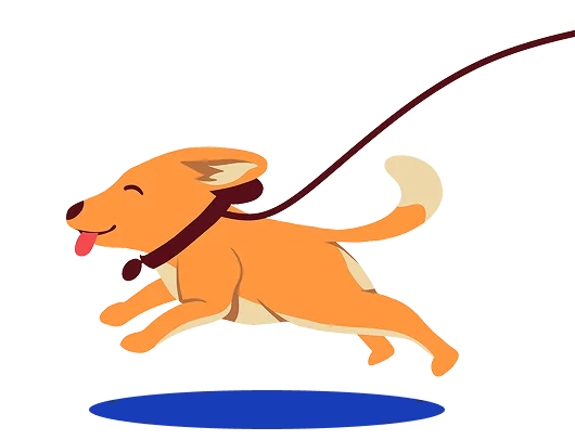 dog running