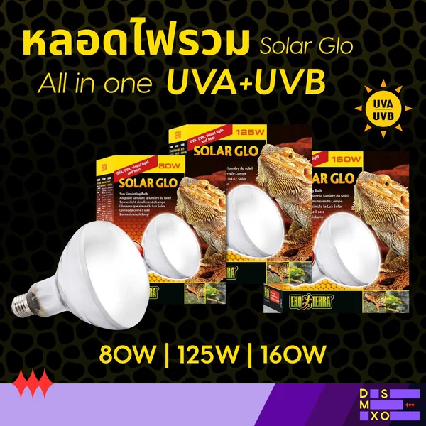 Exo Terra Solar Glo หลอดไฟรวม ให้ UVA+UVB+ความร้อน+แสงสว่าง All in One ครบจบในหลอดเดียว image 1 Exo Terra Solar Glo หลอดไฟรวม ให้ UVA+UVB+ความร้อน+แสงสว่าง All in One ครบจบในหลอดเดียว image 1