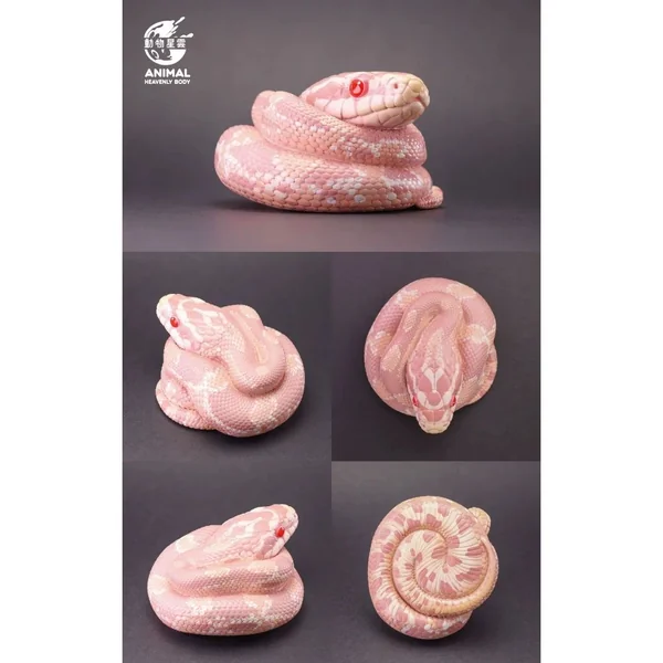 Animal Heavenly Body 23 Snake Series 3.0 Model โมเดล ฟิกเกอร์ งูอ้วน งูคอร์น Corn Snake image 2 Animal Heavenly Body 23 Snake Series 3.0 Model โมเดล ฟิกเกอร์ งูอ้วน งูคอร์น Corn Snake image 2