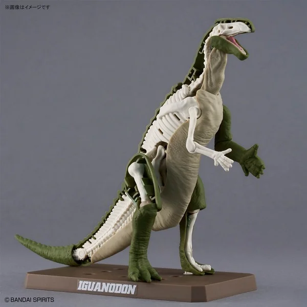 Bandai PLANNOSAURUS Iguanodon 4573102742735 (Plastic Model) image 9 Bandai PLANNOSAURUS Iguanodon 4573102742735 (Plastic Model) image 9