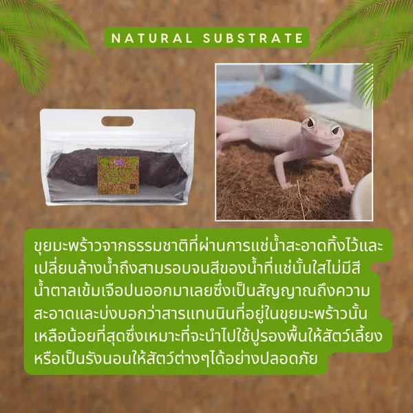 DSMXO Coco Peat 2L ขุยมะพร้าวปลอดสารพิษ เป็นมิตรต่อสัตว์เลี้ยง เก็บกลิ่น ทำความสะอาดง่าย image 2 DSMXO Coco Peat 2L ขุยมะพร้าวปลอดสารพิษ เป็นมิตรต่อสัตว์เลี้ยง เก็บกลิ่น ทำความสะอาดง่าย image 2