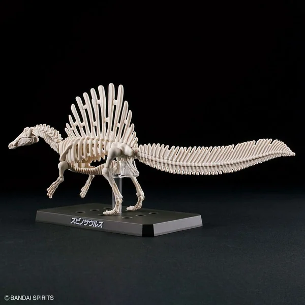 Bandai PLANNOSAURUS Spinosaurus 4573102654274 (Plastic Model) image 9