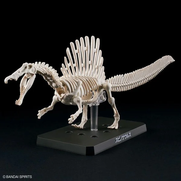 Bandai PLANNOSAURUS Spinosaurus 4573102654274 (Plastic Model) image 7