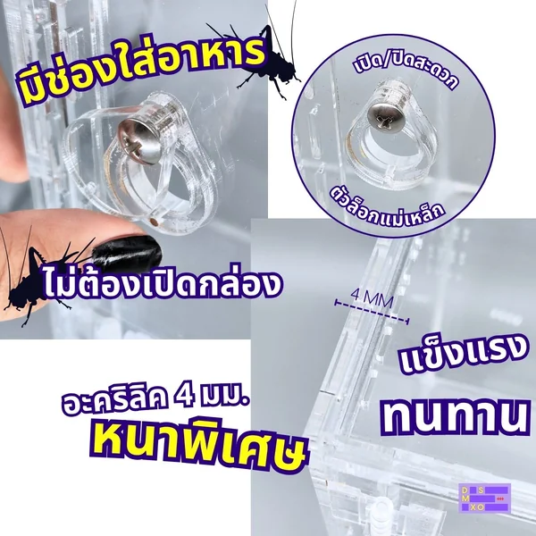 Wild Guest x DSMXO Acrylic Box กล่องอะคริลิคใส *เปิดบน/หน้า* มีช่องใส่อาหาร ใส่แมงมุม งู ตุ๊กแก หนา 4 mm image 2 Wild Guest x DSMXO Acrylic Box กล่องอะคริลิคใส *เปิดบน/หน้า* มีช่องใส่อาหาร ใส่แมงมุม งู ตุ๊กแก หนา 4 mm image 2
