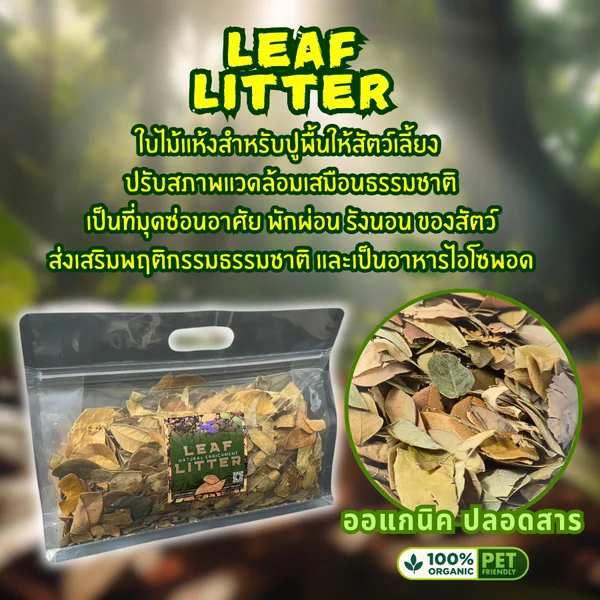 DSMXO Leaf Litter ใบไม้แห้ง อาหารไอโซพอด(Isopod) แต่งตู้เลี้ยง สะอาด ปลอดสารพิษ จากธรรมชาติ 100% image 2 DSMXO Leaf Litter ใบไม้แห้ง อาหารไอโซพอด(Isopod) แต่งตู้เลี้ยง สะอาด ปลอดสารพิษ จากธรรมชาติ 100% image 2