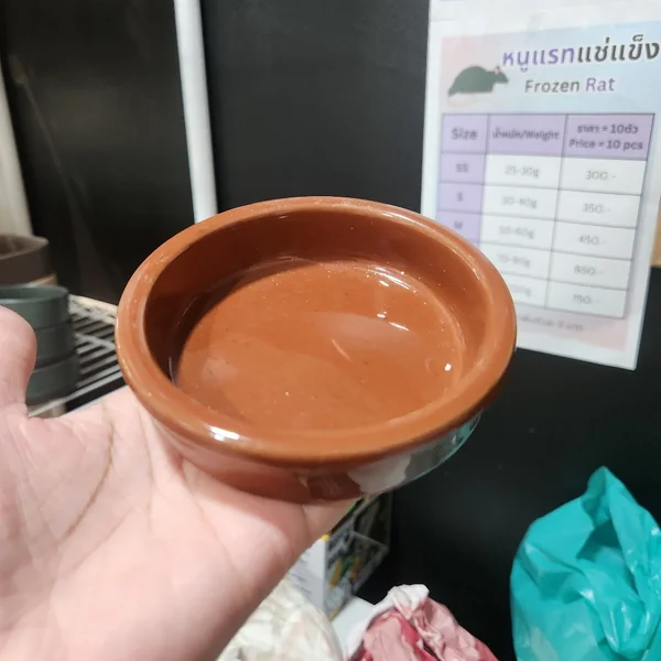 ถ้วย ชาม ทรงแบน ทรงเตี้ย สีน้ำตาล สำหรับสัตว์เลื้อยคลาน เช่น เต่า เบี๊ยดดราก้อน มีน้ำหนัก image 2 ถ้วย ชาม ทรงแบน ทรงเตี้ย สีน้ำตาล สำหรับสัตว์เลื้อยคลาน เช่น เต่า เบี๊ยดดราก้อน มีน้ำหนัก image 2