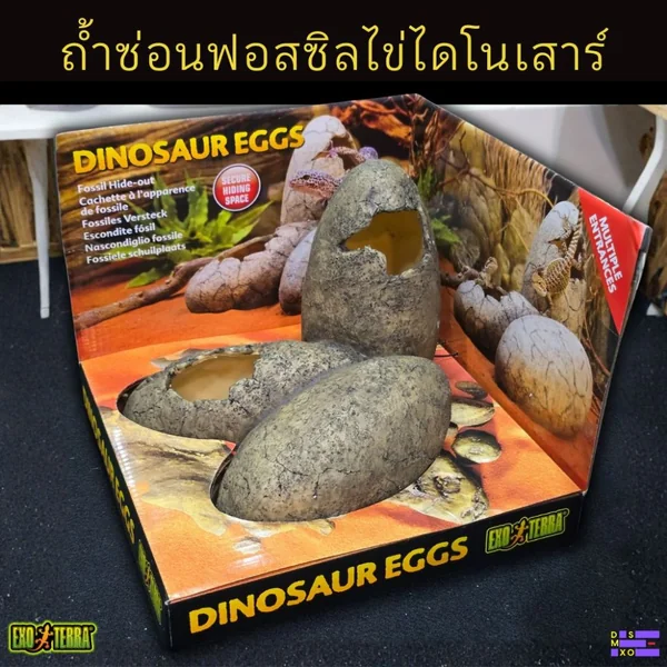 Exo Terra Dinosaur Eggs ที่ซ่อนฟอสซิลไข่ไดโนเสาร์ พร้อมถ้วยน้ำ สำหรับสัตว์เลื้อยคลาน งู image 1 Exo Terra Dinosaur Eggs ที่ซ่อนฟอสซิลไข่ไดโนเสาร์ พร้อมถ้วยน้ำ สำหรับสัตว์เลื้อยคลาน งู image 1