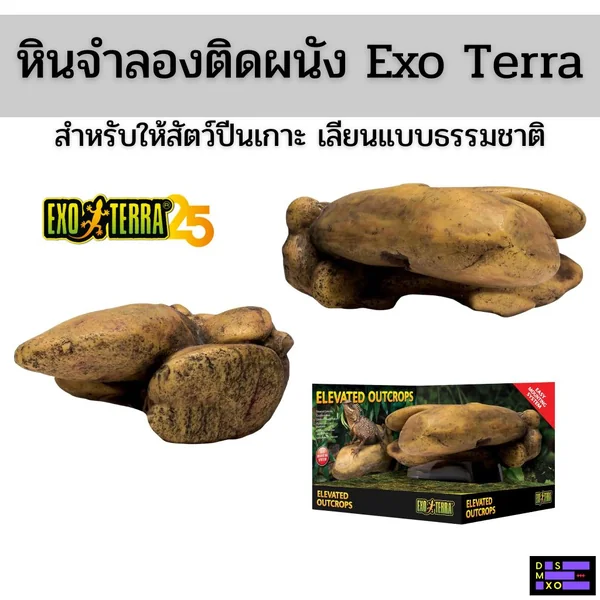 Exo Terra Elevated Outcrop หินจำลองติดผนังให้สัตว์ปีนเกาะ เลียนแบบสภาพแวดล้อมธรรมชาติ image 1 Exo Terra Elevated Outcrop หินจำลองติดผนังให้สัตว์ปีนเกาะ เลียนแบบสภาพแวดล้อมธรรมชาติ image 1