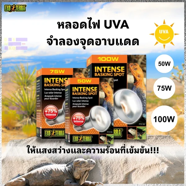 Exo Terra Intense Basking Spot หลอดไฟ UVA ให้แสงสว่าง+ความร้อน สำหรับกกไฟกลางวัน image 1 Exo Terra Intense Basking Spot หลอดไฟ UVA ให้แสงสว่าง+ความร้อน สำหรับกกไฟกลางวัน image 1