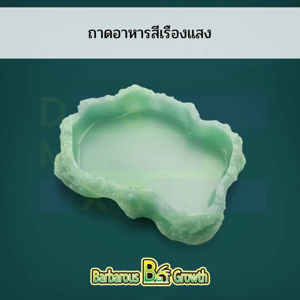 Barbarous Growth ถ้วยน้ำ ถาดอาหาร สีธรรมชาติ-สีเรืองแสง สำหรับสัตว์เลื้อยคลาน กิ้งก่า เต่า image 2 Barbarous Growth ถ้วยน้ำ ถาดอาหาร สีธรรมชาติ-สีเรืองแสง สำหรับสัตว์เลื้อยคลาน กิ้งก่า เต่า image 2