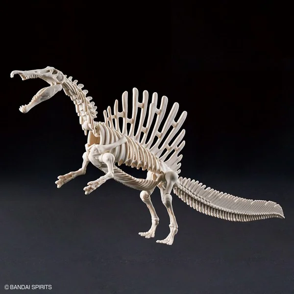Bandai PLANNOSAURUS Spinosaurus 4573102654274 (Plastic Model) image 8