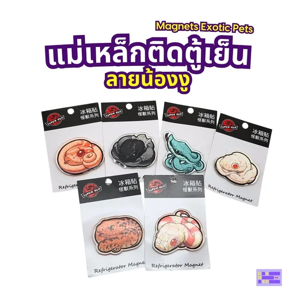 Magnets Exotic Pet แม่เหล็กติดตู้เย็น ลายน้องงู แม่เหล็กติดตู้เย็นอะคริลิก ของฝาก image 2 Magnets Exotic Pet แม่เหล็กติดตู้เย็น ลายน้องงู แม่เหล็กติดตู้เย็นอะคริลิก ของฝาก image 2