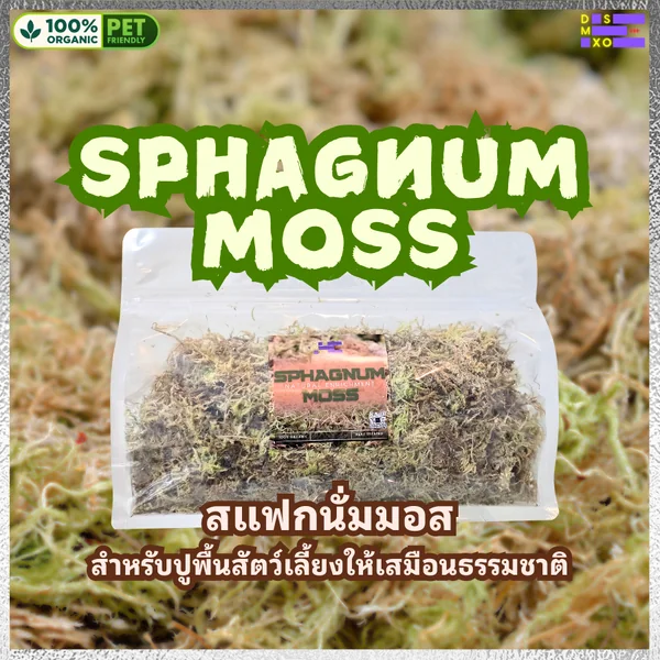 DSMXO Sphagnum Moss 100g สแฟรกนั่มมอส ปูพื้นให้สัตว์เลี้ยง เก็บความชุ่มชื้น งู แมงมุม ไอโซพอด ตุ๊กแก image 1 DSMXO Sphagnum Moss 100g สแฟรกนั่มมอส ปูพื้นให้สัตว์เลี้ยง เก็บความชุ่มชื้น งู แมงมุม ไอโซพอด ตุ๊กแก image 1