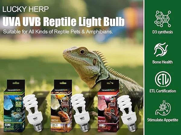 Lucky Herp UVB 15.0 หลอดไฟสำหรับสัตว์เลื้อยคลานทะเลทราย กิ้งก่า เต่า เบียดดราก้อน UVB สูง ขั้ว E27 พร้อมส่ง โดยออกแบบมาให้ปล่อยรังสี UVB สูงถึง 15% image 2 Lucky Herp UVB 15.0 หลอดไฟสำหรับสัตว์เลื้อยคลานทะเลทราย กิ้งก่า เต่า เบียดดราก้อน UVB สูง ขั้ว E27 พร้อมส่ง โดยออกแบบมาให้ปล่อยรังสี UVB สูงถึง 15% image 2