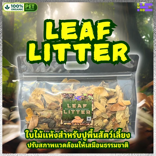DSMXO Leaf Litter ใบไม้แห้ง อาหารไอโซพอด(Isopod) แต่งตู้เลี้ยง สะอาด ปลอดสารพิษ จากธรรมชาติ 100% image 1 DSMXO Leaf Litter ใบไม้แห้ง อาหารไอโซพอด(Isopod) แต่งตู้เลี้ยง สะอาด ปลอดสารพิษ จากธรรมชาติ 100% image 1