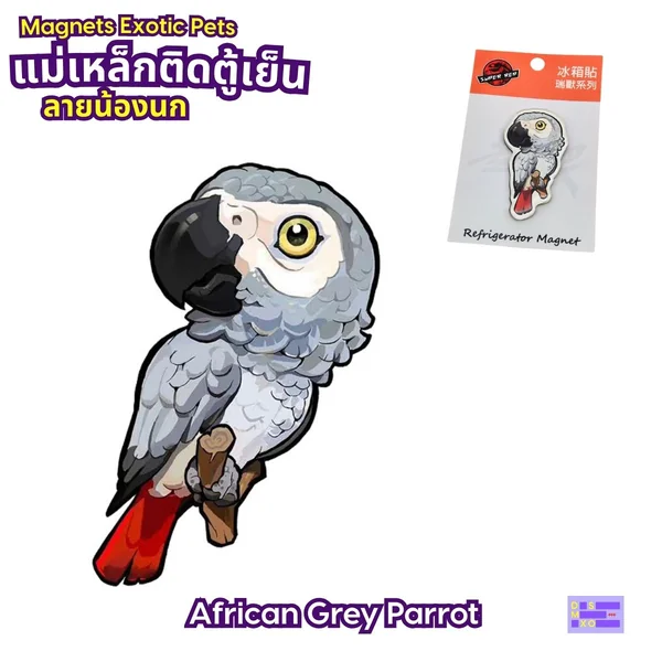 Magnets Exotic Pet แม่เหล็กติดตู้เย็น ลายน้องนก แม่เหล็กติดตู้เย็นอะคริลิก ของฝาก image 2 Magnets Exotic Pet แม่เหล็กติดตู้เย็น ลายน้องนก แม่เหล็กติดตู้เย็นอะคริลิก ของฝาก image 2