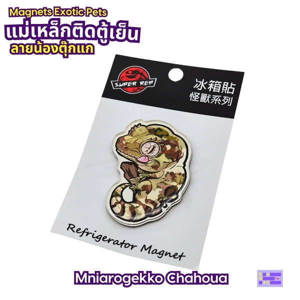 Magnets Exotic Pet แม่เหล็กติดตู้เย็น ลายน้องตุ๊กแก แม่เหล็กติดตู้เย็นอะคริลิก ของฝาก image 8 Magnets Exotic Pet แม่เหล็กติดตู้เย็น ลายน้องตุ๊กแก แม่เหล็กติดตู้เย็นอะคริลิก ของฝาก image 8