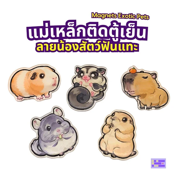 Magnets Exotic Pet แม่เหล็กติดตู้เย็น ลายสัตว์ฟันแทะ แม่เหล็กติดตู้เย็นอะคริลิก ของฝาก image 2 Magnets Exotic Pet แม่เหล็กติดตู้เย็น ลายสัตว์ฟันแทะ แม่เหล็กติดตู้เย็นอะคริลิก ของฝาก image 2