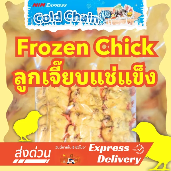 Frozen Chicks 🐥 ลูกเจี๊ยบแช่แข็ง โปรตีนสูง แพ็ค 20 ตัว เรียงแพ็คสวย อาหารงู นกเหยี่ยว กิ้งก่า Exotic Pet DSMXO image 1 Frozen Chicks 🐥 ลูกเจี๊ยบแช่แข็ง โปรตีนสูง แพ็ค 20 ตัว เรียงแพ็คสวย อาหารงู นกเหยี่ยว กิ้งก่า Exotic Pet DSMXO image 1
