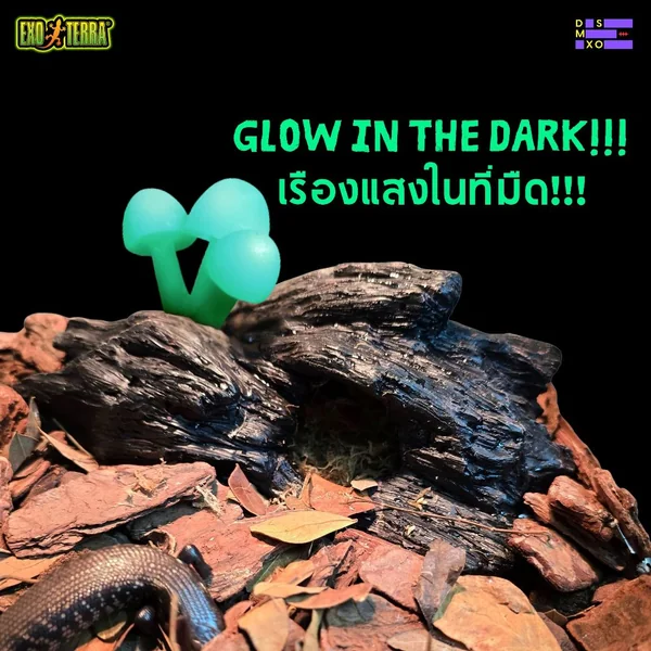 EXO TERRA Glow Mushrooms ที่ซ่อนสัตว์เลื้อยคลาน เรืองแสง งู ตุ๊กแก กบ กิ้งก่า แมงมุม DSMXO image 2 EXO TERRA Glow Mushrooms ที่ซ่อนสัตว์เลื้อยคลาน เรืองแสง งู ตุ๊กแก กบ กิ้งก่า แมงมุม DSMXO image 2