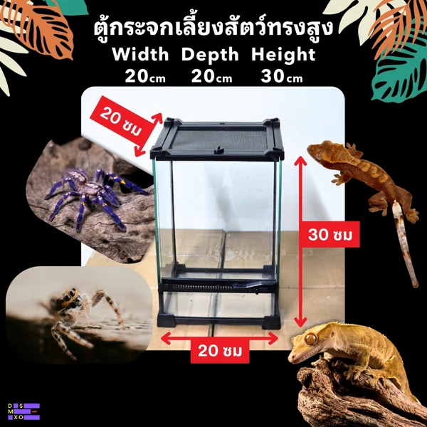 NOMOY PET Terrarium 20×20×30cm ตู้กระจกเลี้ยงสัตว์ทรงสูง เปิดได้ 2 ด้าน ด้านบนวางโคมไฟได้ image 2 NOMOY PET Terrarium 20×20×30cm ตู้กระจกเลี้ยงสัตว์ทรงสูง เปิดได้ 2 ด้าน ด้านบนวางโคมไฟได้ image 2