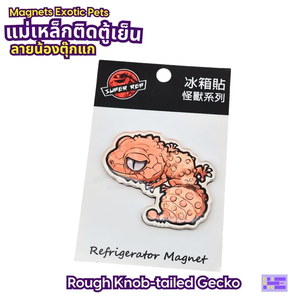 Magnets Exotic Pet แม่เหล็กติดตู้เย็น ลายน้องตุ๊กแก แม่เหล็กติดตู้เย็นอะคริลิก ของฝาก image 5 Magnets Exotic Pet แม่เหล็กติดตู้เย็น ลายน้องตุ๊กแก แม่เหล็กติดตู้เย็นอะคริลิก ของฝาก image 5