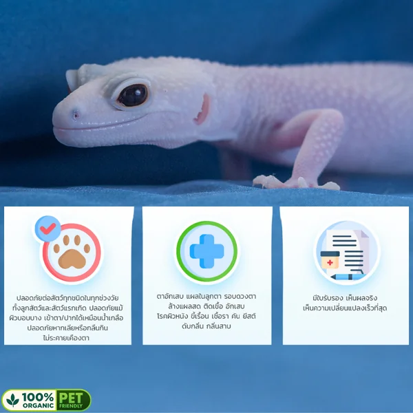 Bactle 250ml สูตร Reptile น้ำยาทำความสะอาดฆ่าเชื้อกล่อง สถานที่เลี้ยง อุปกรณ์ ขจัดคราบยูริค image 4 Bactle 250ml สูตร Reptile น้ำยาทำความสะอาดฆ่าเชื้อกล่อง สถานที่เลี้ยง อุปกรณ์ ขจัดคราบยูริค image 4
