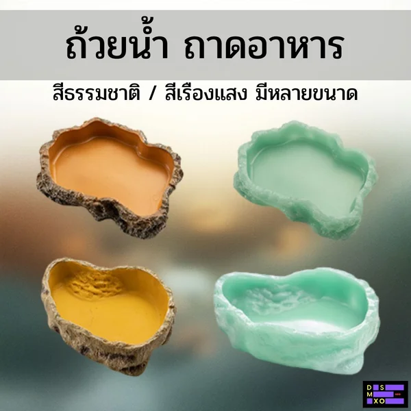 Barbarous Growth ถ้วยน้ำ ถาดอาหาร สีธรรมชาติ-สีเรืองแสง สำหรับสัตว์เลื้อยคลาน กิ้งก่า เต่า image 1 Barbarous Growth ถ้วยน้ำ ถาดอาหาร สีธรรมชาติ-สีเรืองแสง สำหรับสัตว์เลื้อยคลาน กิ้งก่า เต่า image 1