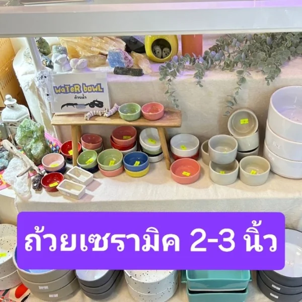 ถ้วยน้ำเซรามิค 2-3 นิ้ว Ceramic Bowl ถ้วยอาหาร ถ้วยแคลเซียม (แจ้งสีถ้วยทักแชทเท่านั้น!) image 1 ถ้วยน้ำเซรามิค 2-3 นิ้ว Ceramic Bowl ถ้วยอาหาร ถ้วยแคลเซียม (แจ้งสีถ้วยทักแชทเท่านั้น!) image 1