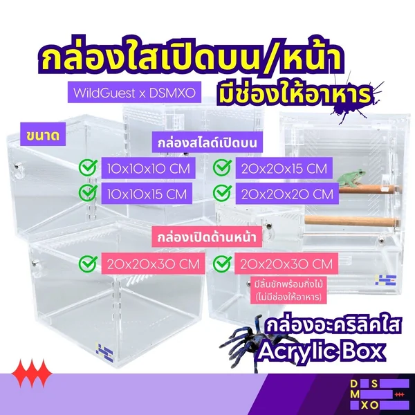 Wild Guest x DSMXO Acrylic Box กล่องอะคริลิคใส *เปิดบน/หน้า* มีช่องใส่อาหาร ใส่แมงมุม งู ตุ๊กแก หนา 4 mm image 1 Wild Guest x DSMXO Acrylic Box กล่องอะคริลิคใส *เปิดบน/หน้า* มีช่องใส่อาหาร ใส่แมงมุม งู ตุ๊กแก หนา 4 mm image 1