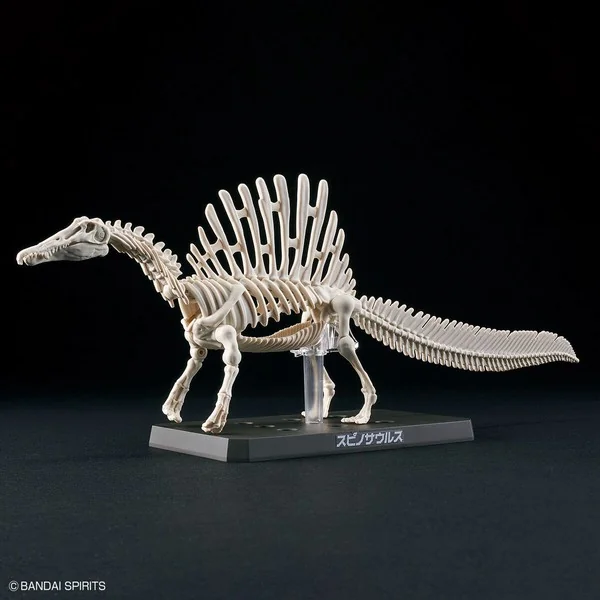 Bandai PLANNOSAURUS Spinosaurus 4573102654274 (Plastic Model) image 6