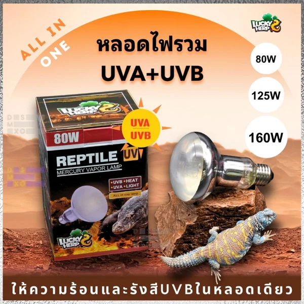 Lucky Herp UV Mercury Vapor Lamp หลอดไฟรวม UVA+UVB+ความร้อน+แสงสว่าง สำหรับกิ้งก่า เต่า งู Exotic Pet 80W / 125W / 160W พร้อมส่ง image 1 Lucky Herp UV Mercury Vapor Lamp หลอดไฟรวม UVA+UVB+ความร้อน+แสงสว่าง สำหรับกิ้งก่า เต่า งู Exotic Pet 80W / 125W / 160W พร้อมส่ง image 1